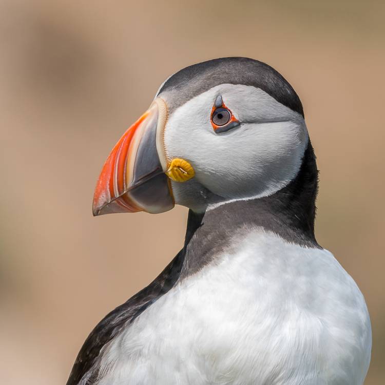 Portrait von Piotr Galus