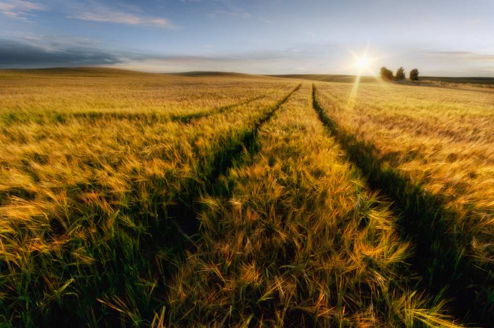 country-side von Piotr Krol (Bax)