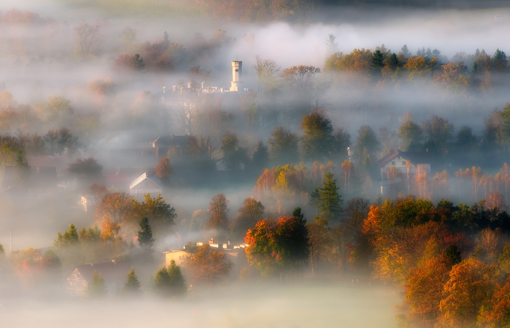 In the autumn mist von Piotr Krol (Bax)