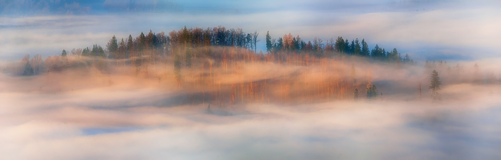 in the morning mists von Piotr Krol (Bax)