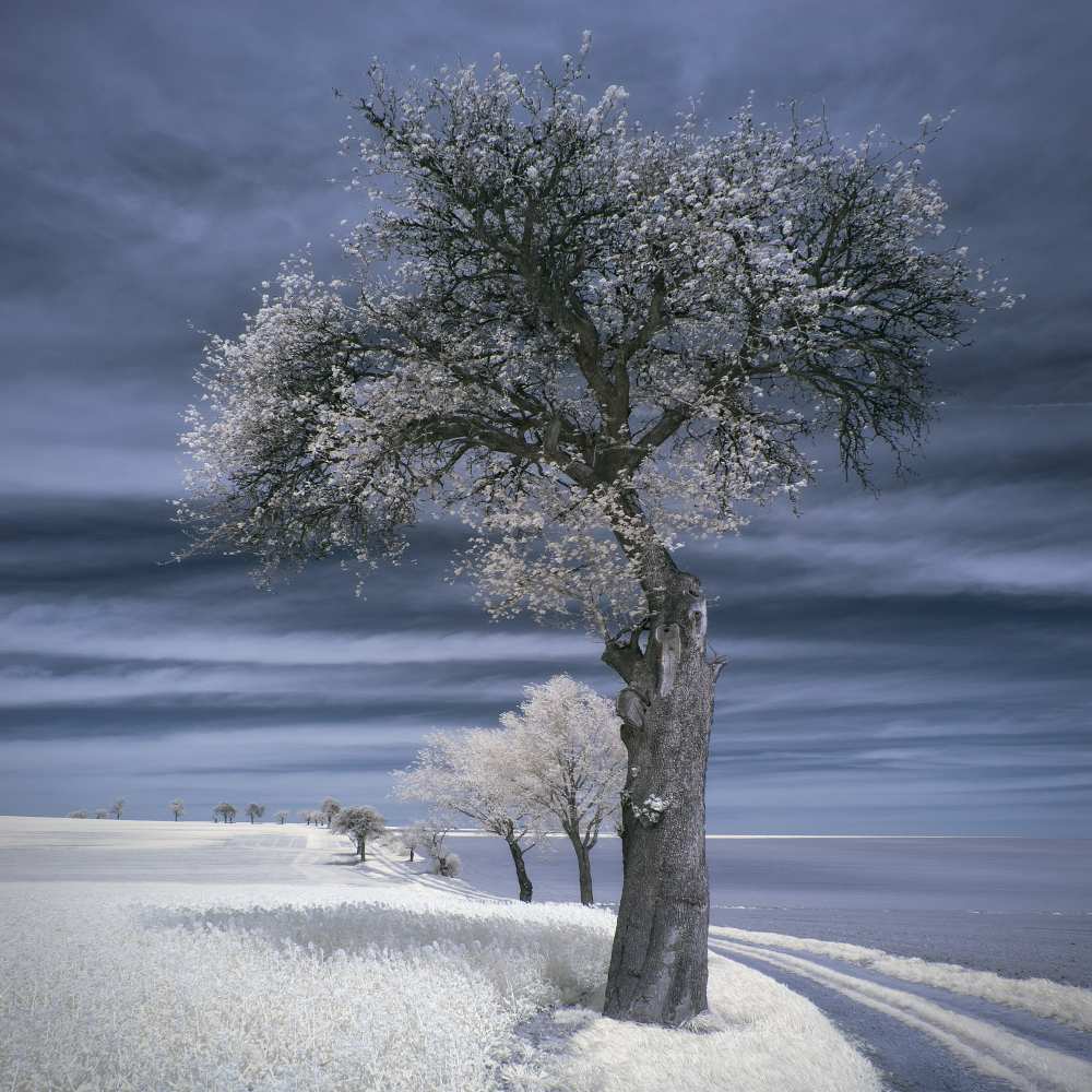 IRenkowo von Piotr Krol (Bax)