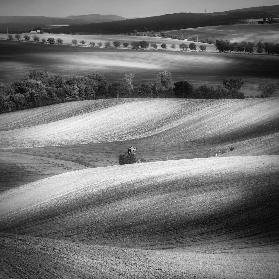 Moravian fields