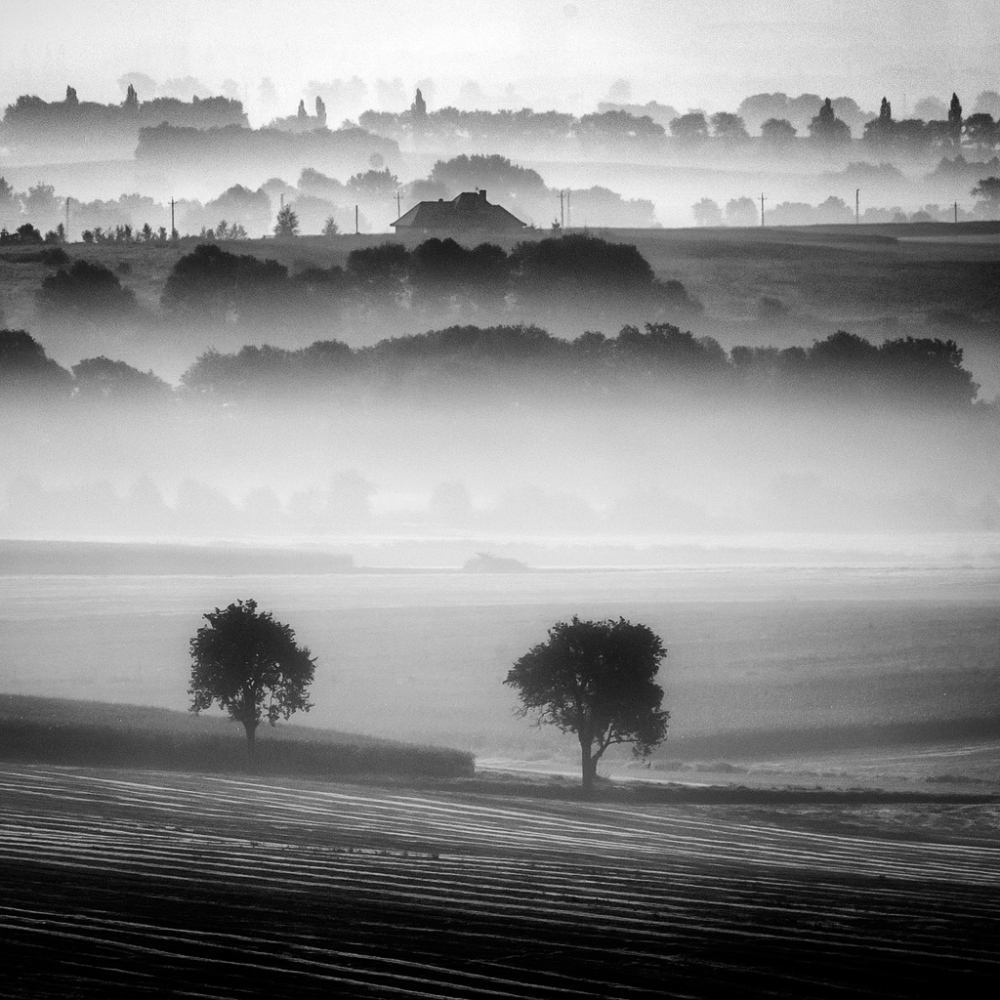 morning mists von Piotr Krol (Bax)