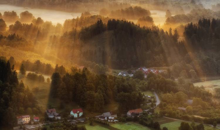 Morning Light von Piotr Krol (Bax)