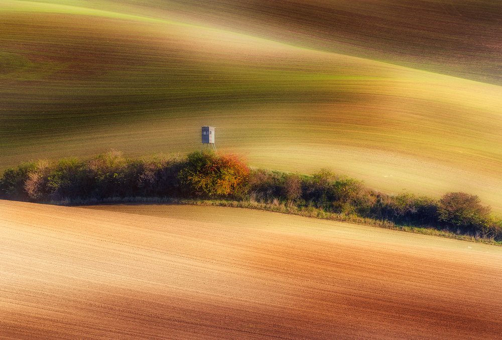 wavy fields von Piotr Krol (Bax)