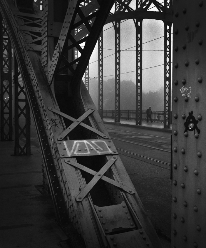 misty morning von Piotr Wiszniewski