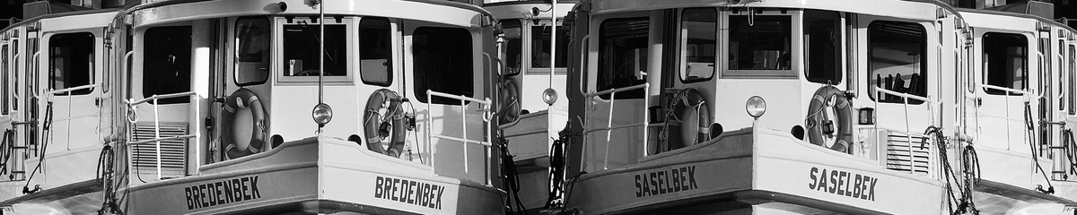 Alsterdampfer 0.1 von Regina Porip