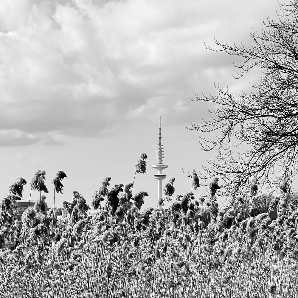 Fernsehturm s/w von Regina Porip