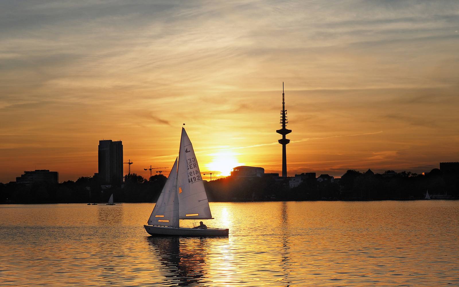Segel im Sonnenuntergang von Regina Porip