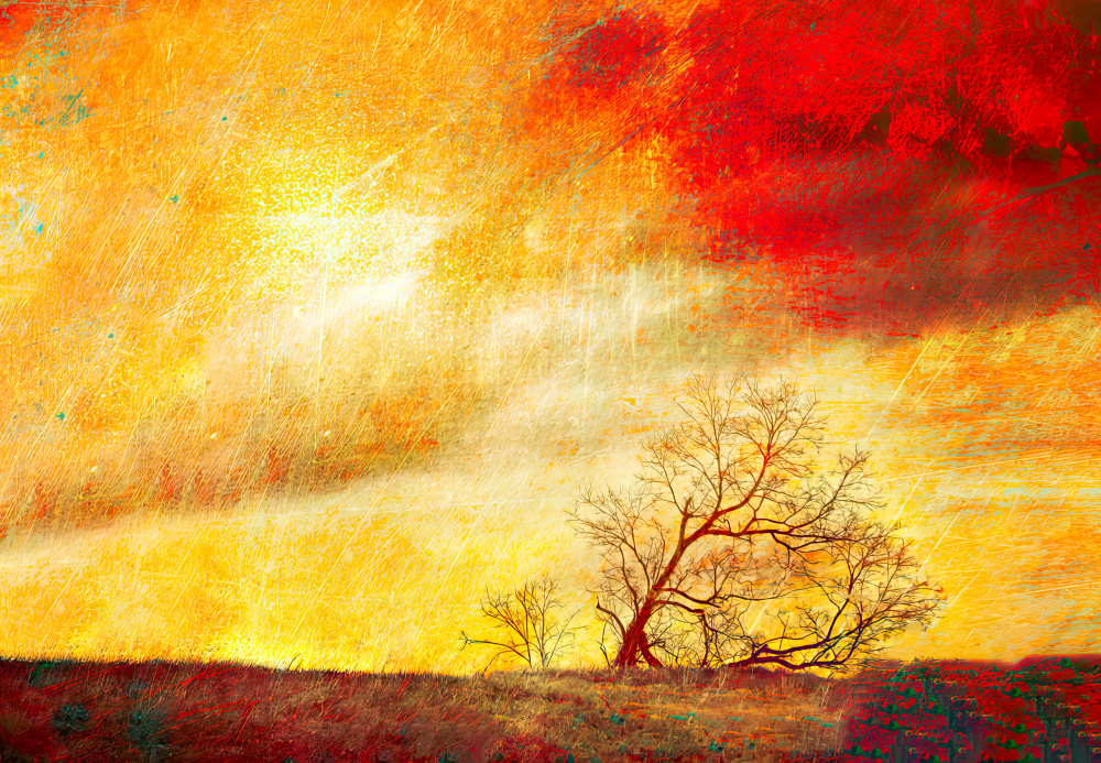 Singing the Wind Awake von Porter Thomas