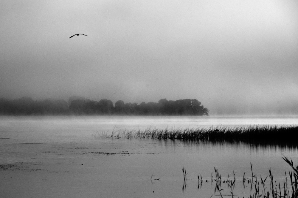 Quet Nature 2021 von Poul-Erik Riis