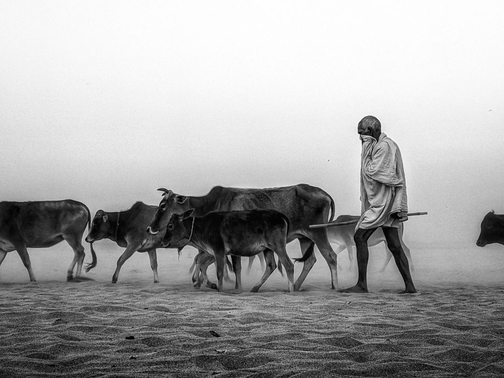 Life in a Circle von Pradiptamoy Paul