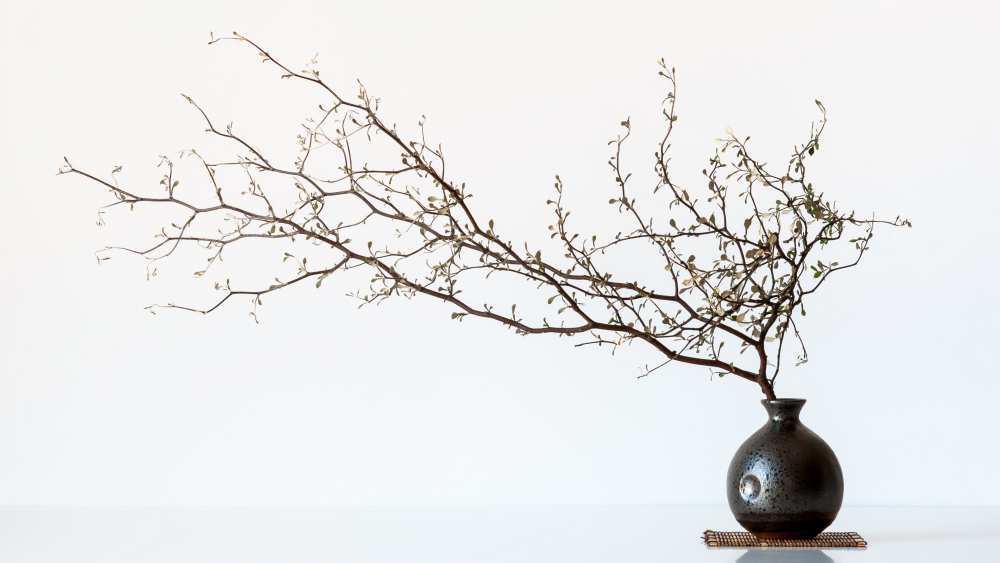 Vase And Branch von prbimages
