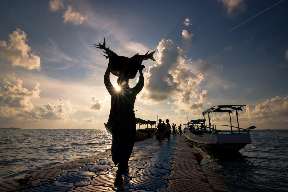 Fresh Fish von Prianto Puji Anggriawan