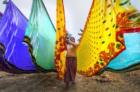 Drying cotton saree