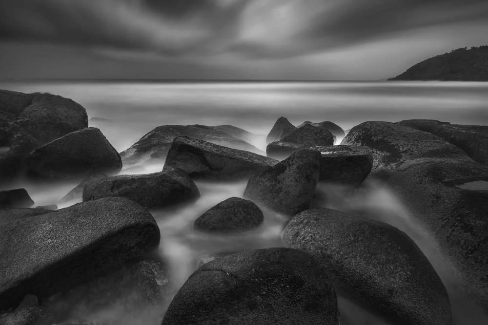 "Silent Swarm" von Puneet Verma