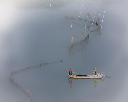 Cruising On the Fish Farm