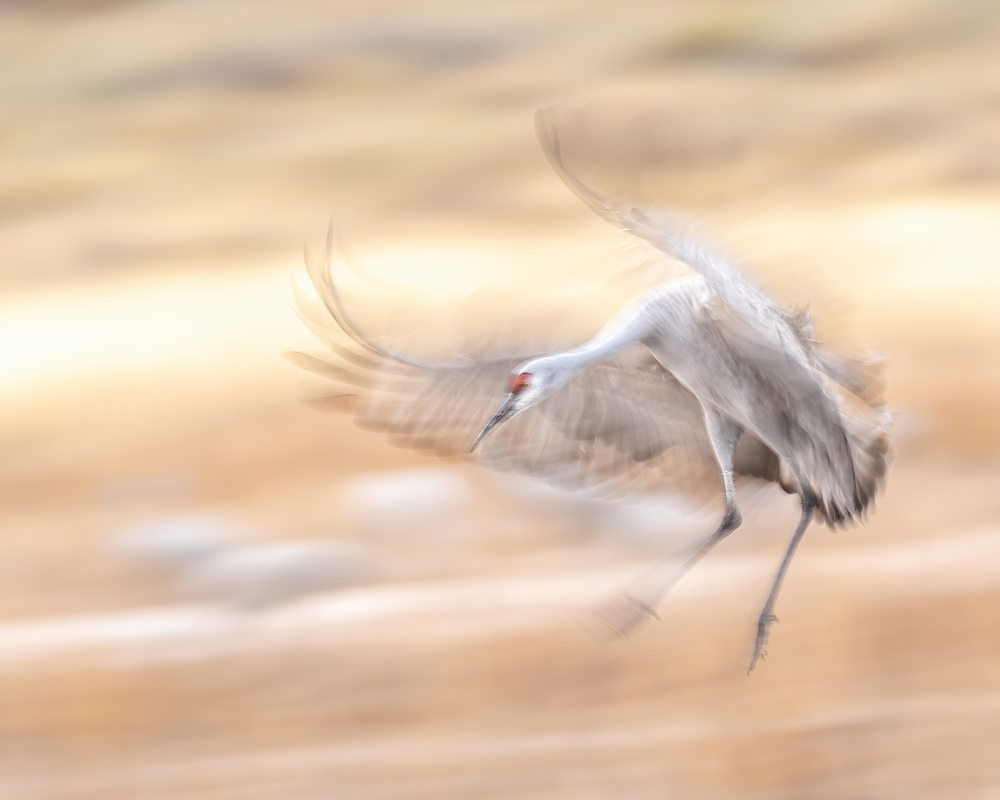 untitledl von Qingsong Wang