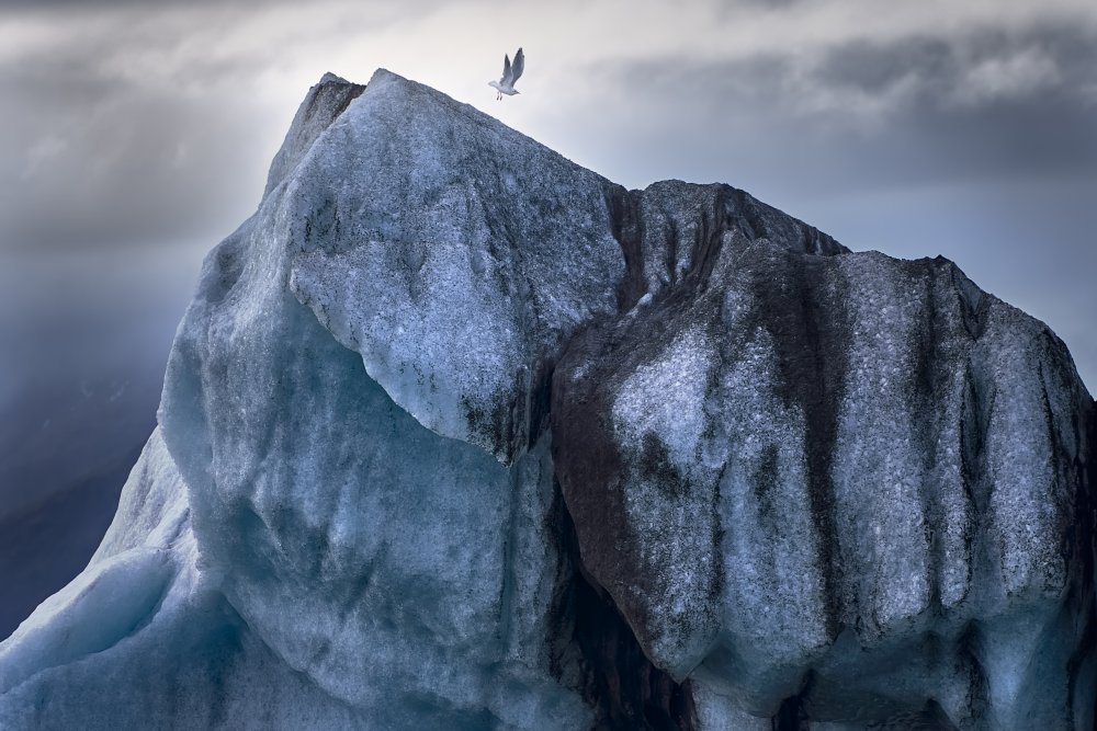 Peace von queverenislandia.es