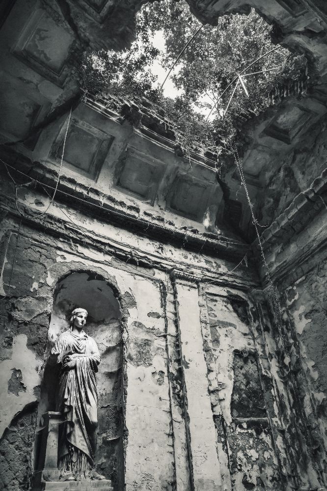 Blick in die Vergangenheit von Raceala Elena