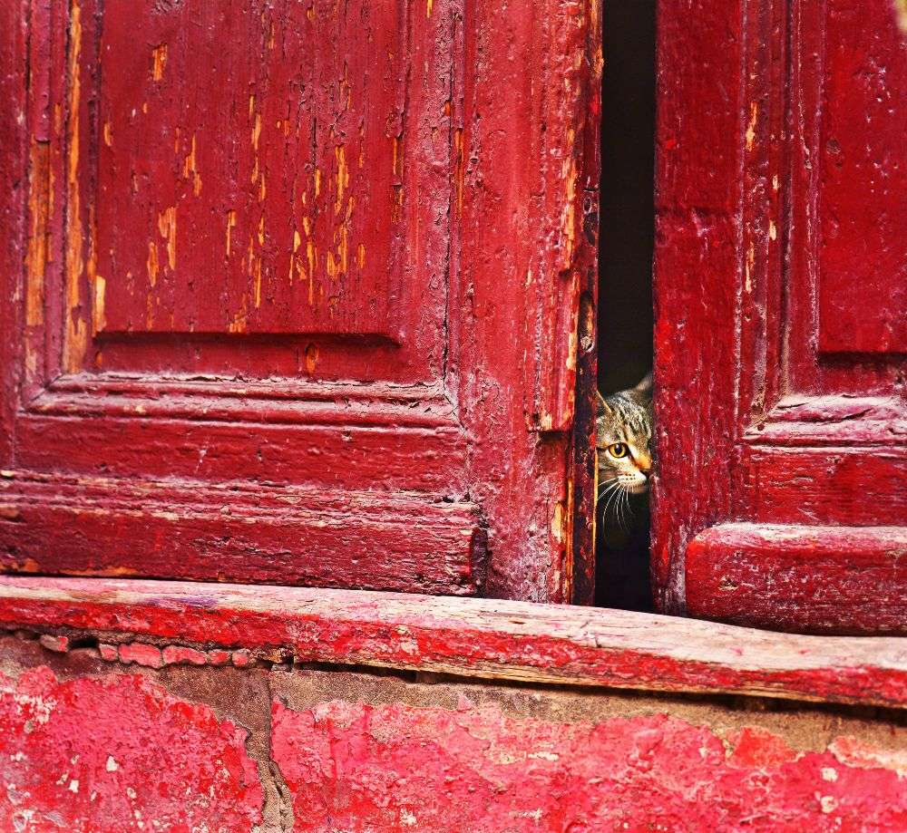 Hinter den Kulissen von Raceala Elena