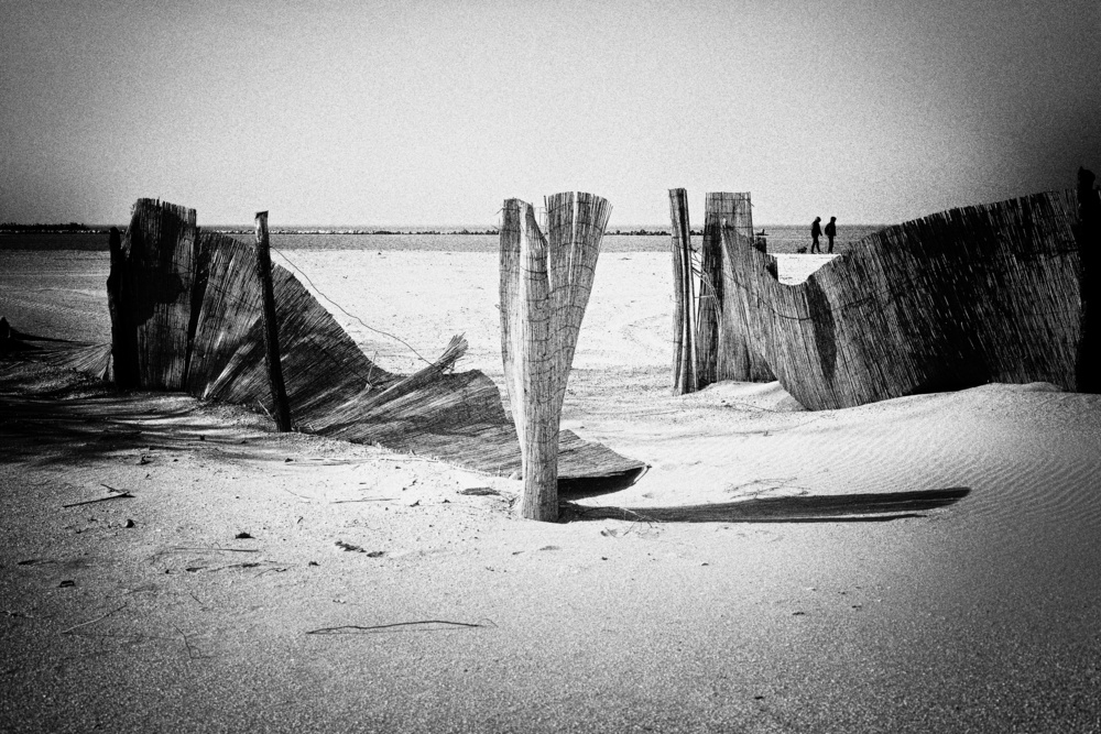 untitledl von Raceala Elena