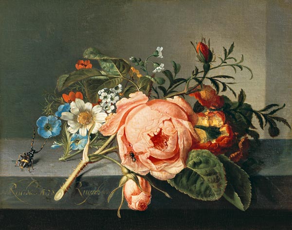 Rosenzweig mit Käfer und Biene von Rachel Ruysch