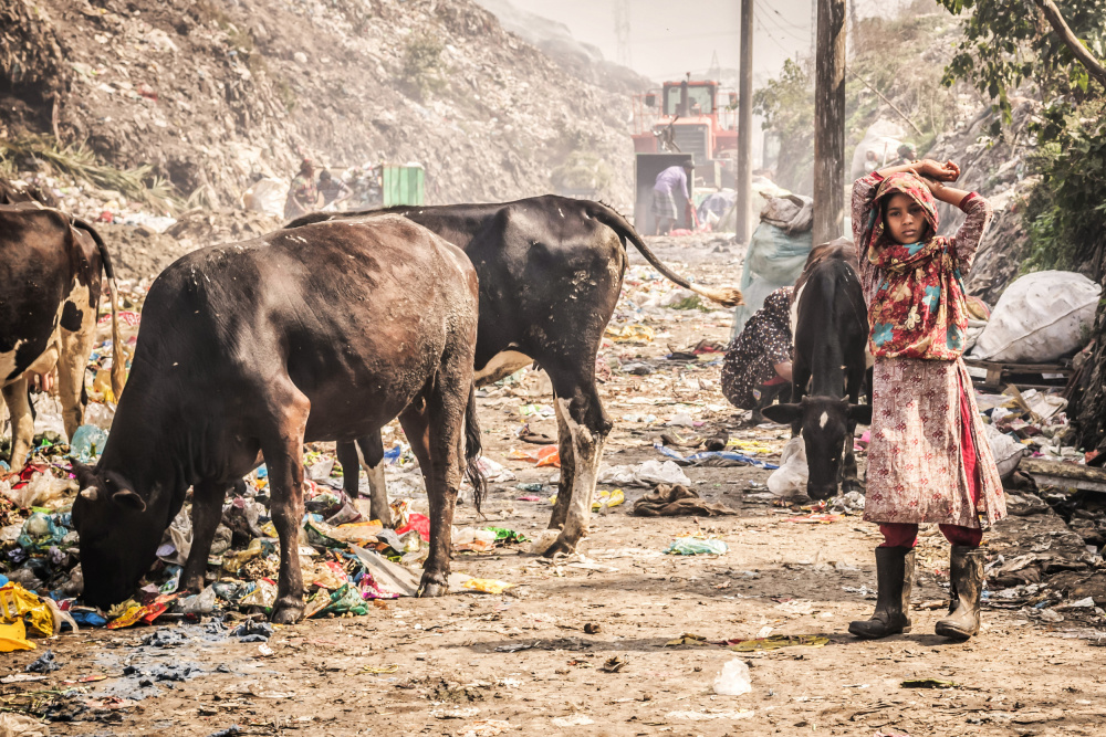 Cittagong garbage field von Radana Kucharova