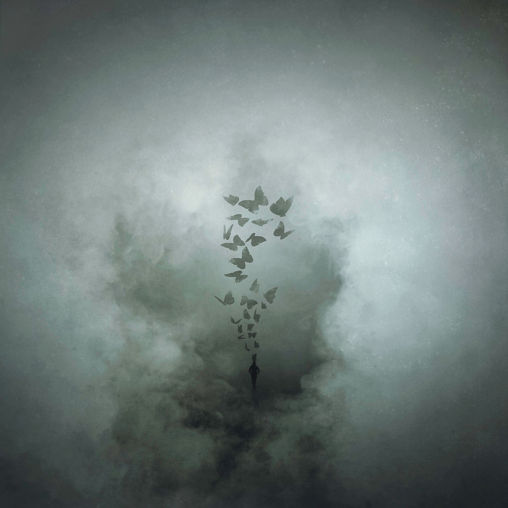 Fly Away My Hope von Radin Badrnia