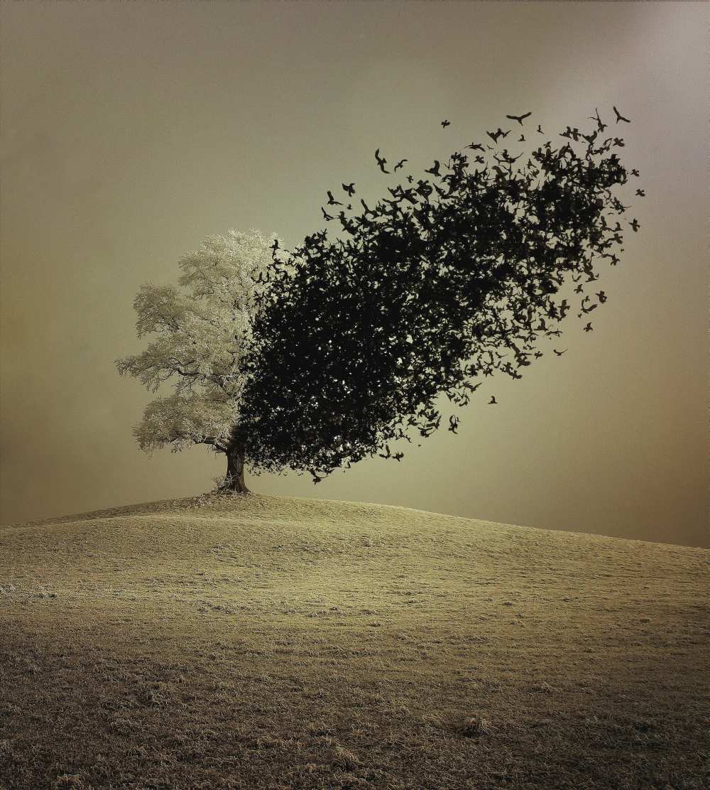 Last Hope von Radin Badrnia