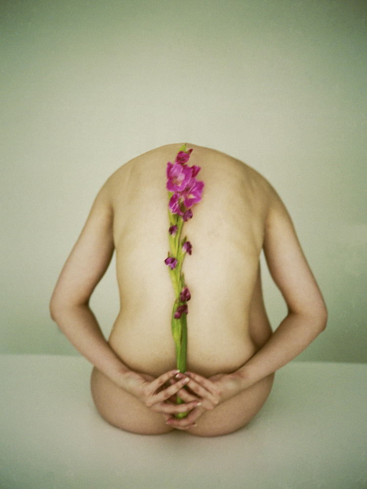 Flower zen von Rafał Kaźmierczak