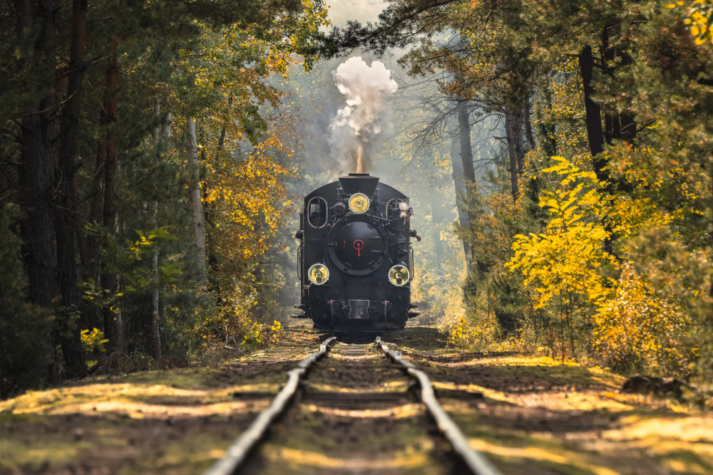 Fairytale Train von Rafal R. Nebelski