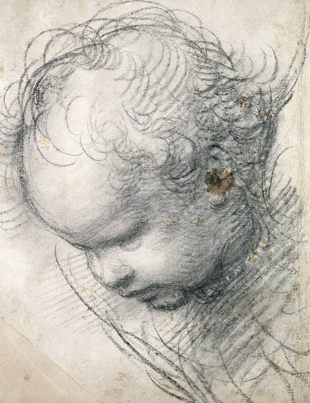 Head of a Cherub von Raffael - Raffaello Santi