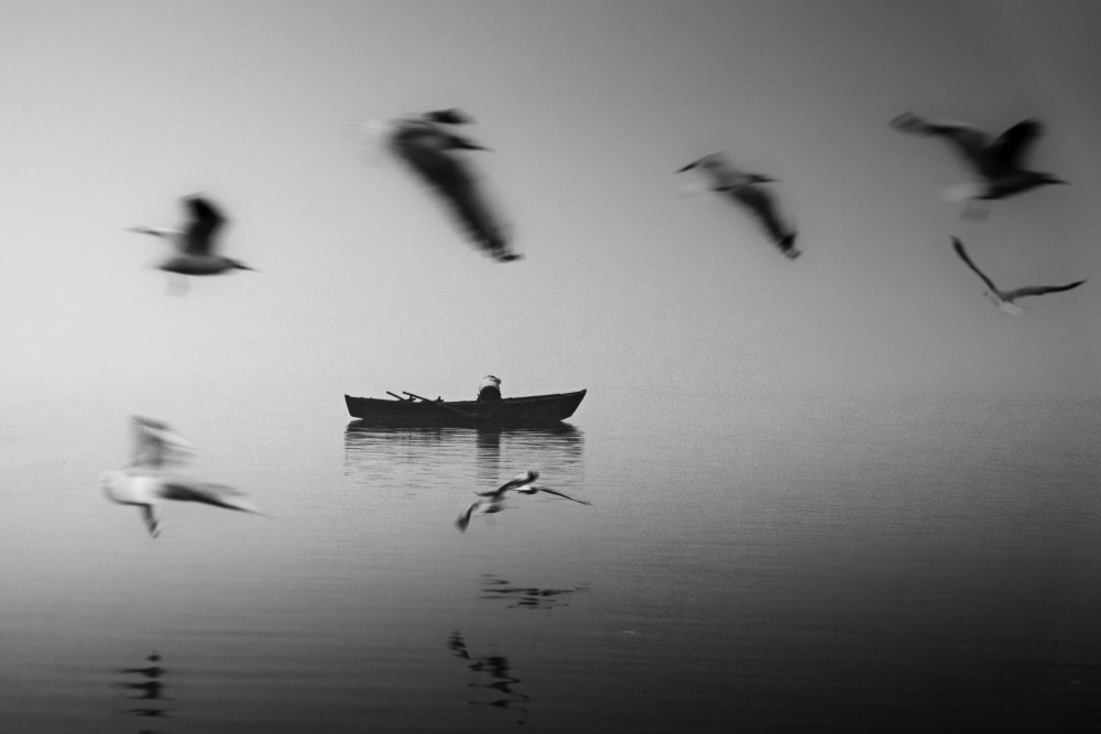 Tranquility von Rahul Wedpathak