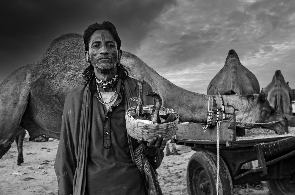 Sapera von Rahul Wedpathak