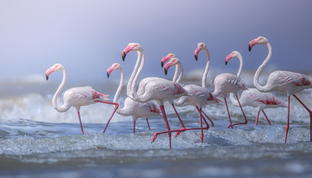 Beach Marathon von Rahul Wedpathak