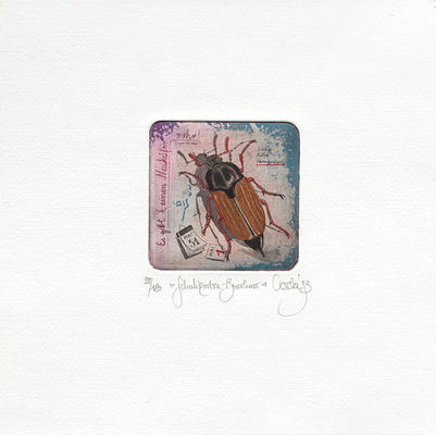 Schuhkarton-Bewohner von Rainer Hercks