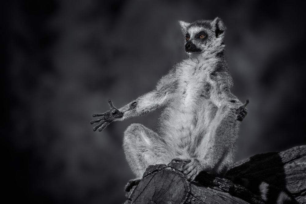 Kleiner Buddha von Rainer Inderst