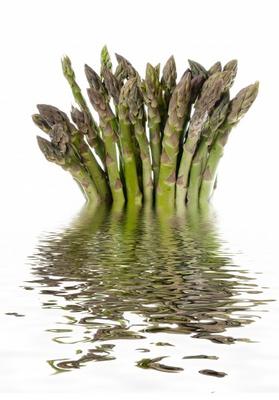 Spargel von Rainer Junker