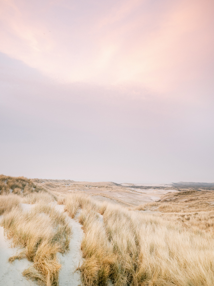 Ameland Dunes 1 von Raisa Zwart