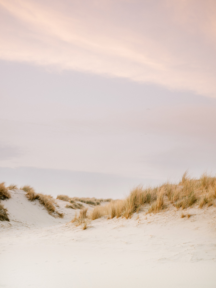 Ameland Dunes 3 von Raisa Zwart