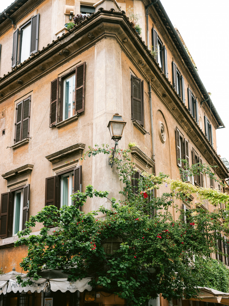 Botanical Trastevere Rome || von Raisa Zwart