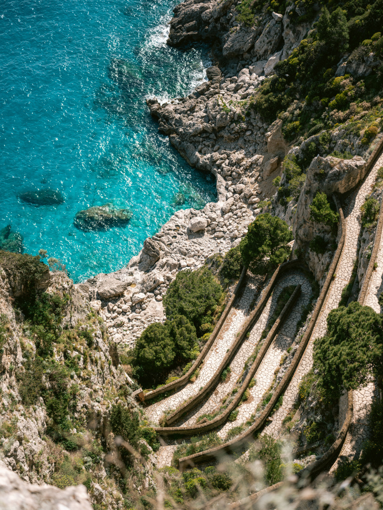 Gardens of Augustus von Raisa Zwart