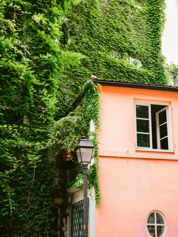 Green and Pink || Montmartre Paris von Raisa Zwart