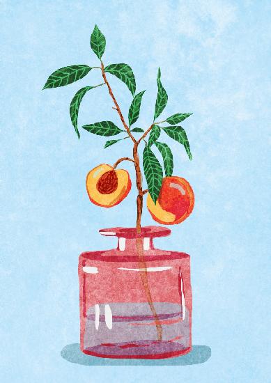 Peach Tree in Vase