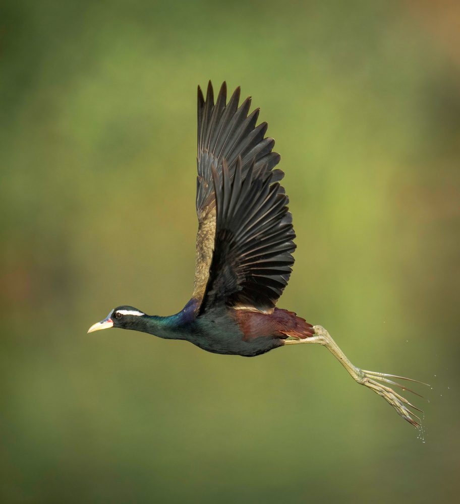 untitledl von Rajat Dhesi