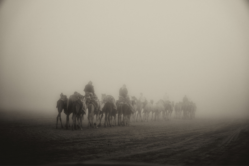 untitledl von Rami Al Adwan