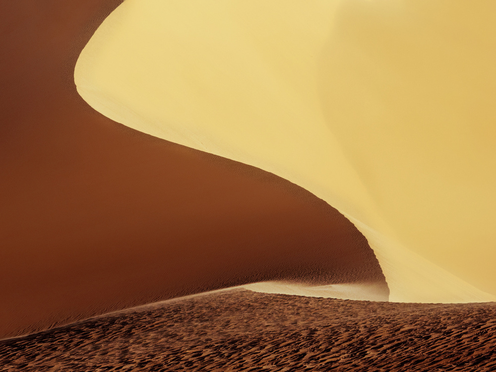 untitledl von Ramin Amani