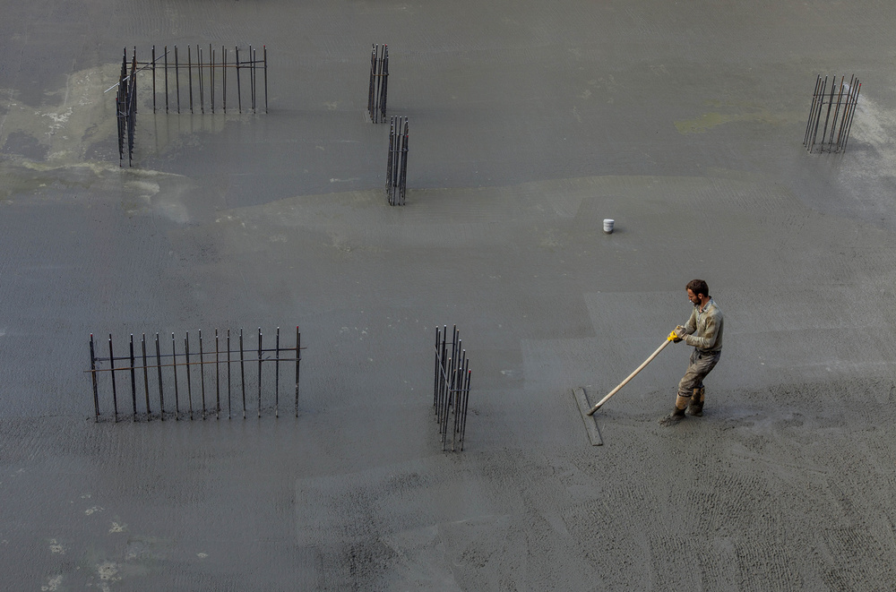 shoots will grow von Ramiz Şahin