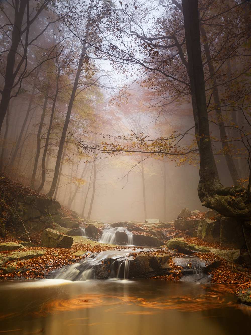 Mistyc mist von Ramón Menéndez Covelo